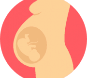 日本人卵子提供+代理出産プログラム（ジョージア）