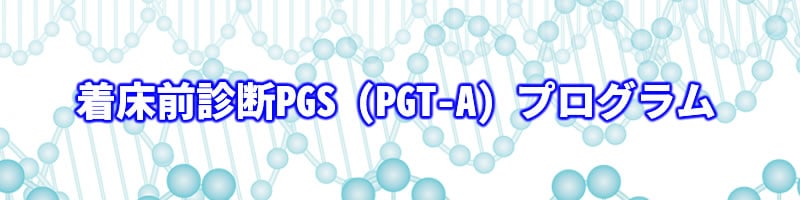 着床前診断PGD-A（染色体異数性着床前診断）プログラム