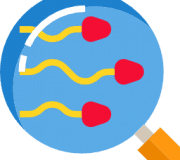 タイ、ジョージア、マレーシアでの精子提供プログラム（精子ドナーを依頼したい方へ）