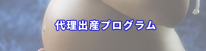 代理出産プログラム（代理出産を依頼したい方へ）